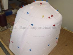 Engine cowl (26)